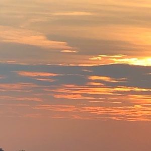 Meet your Posher, Miguel